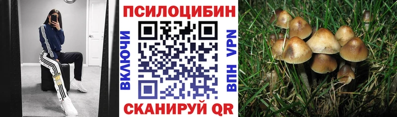цены наркотик  МЕГА сайт  Галлюциногенные грибы прущие грибы  Зея 